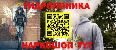 дживик Славгород