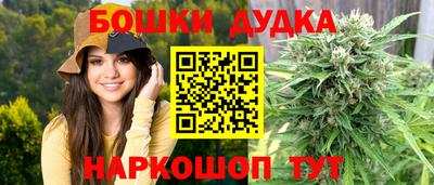дживик Славгород