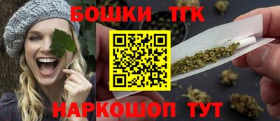 дживик Славгород