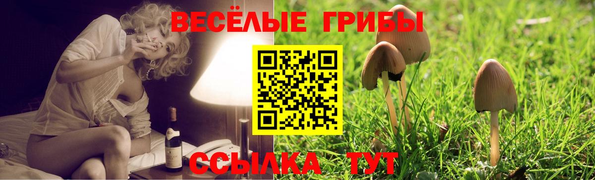 Галлюциногенные грибы Psilocybine cubensis  Галлюциногенные грибы мухоморы  Вход с VPN  Нурлат 